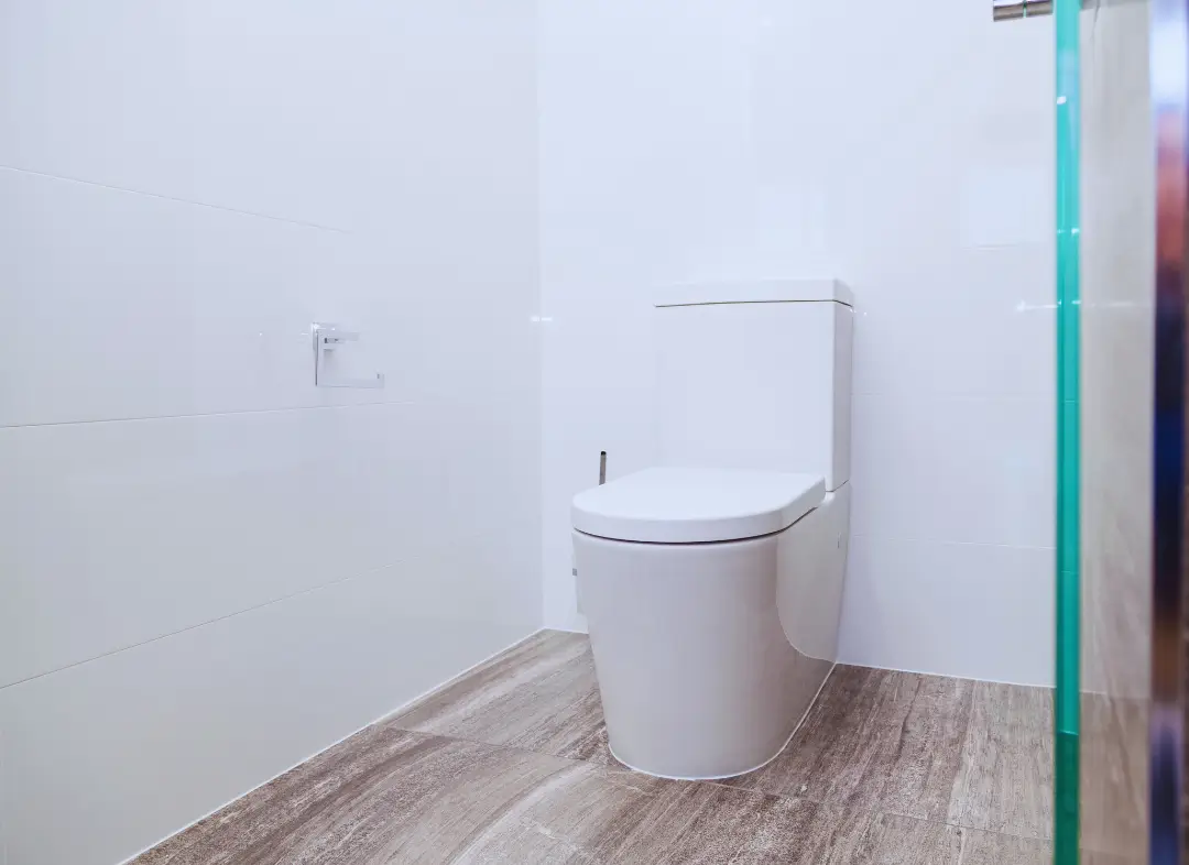 Remplacement de wc Val d'Erdre-Auxence